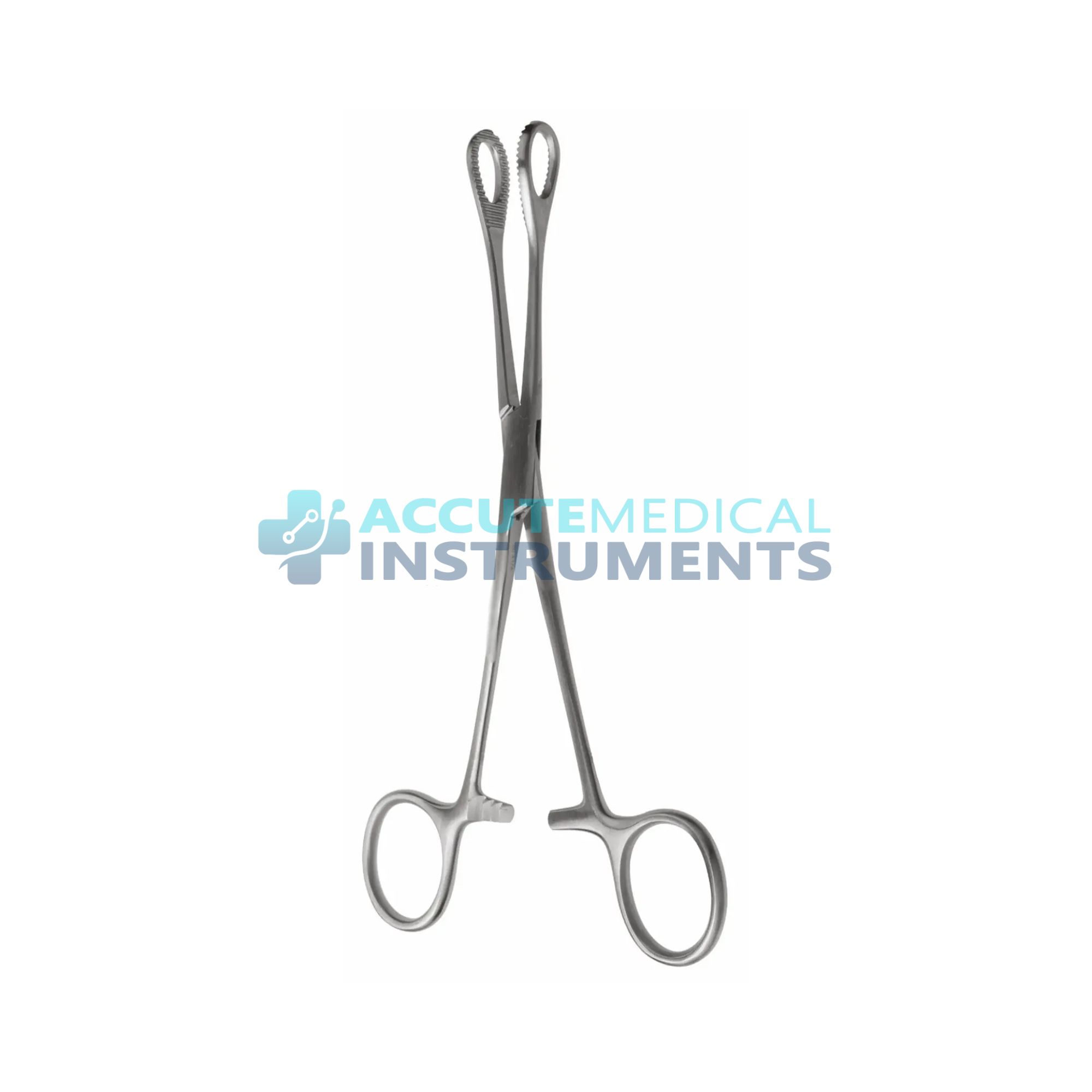 Foerster Sponge Forceps – 7″, Straight, Serrated