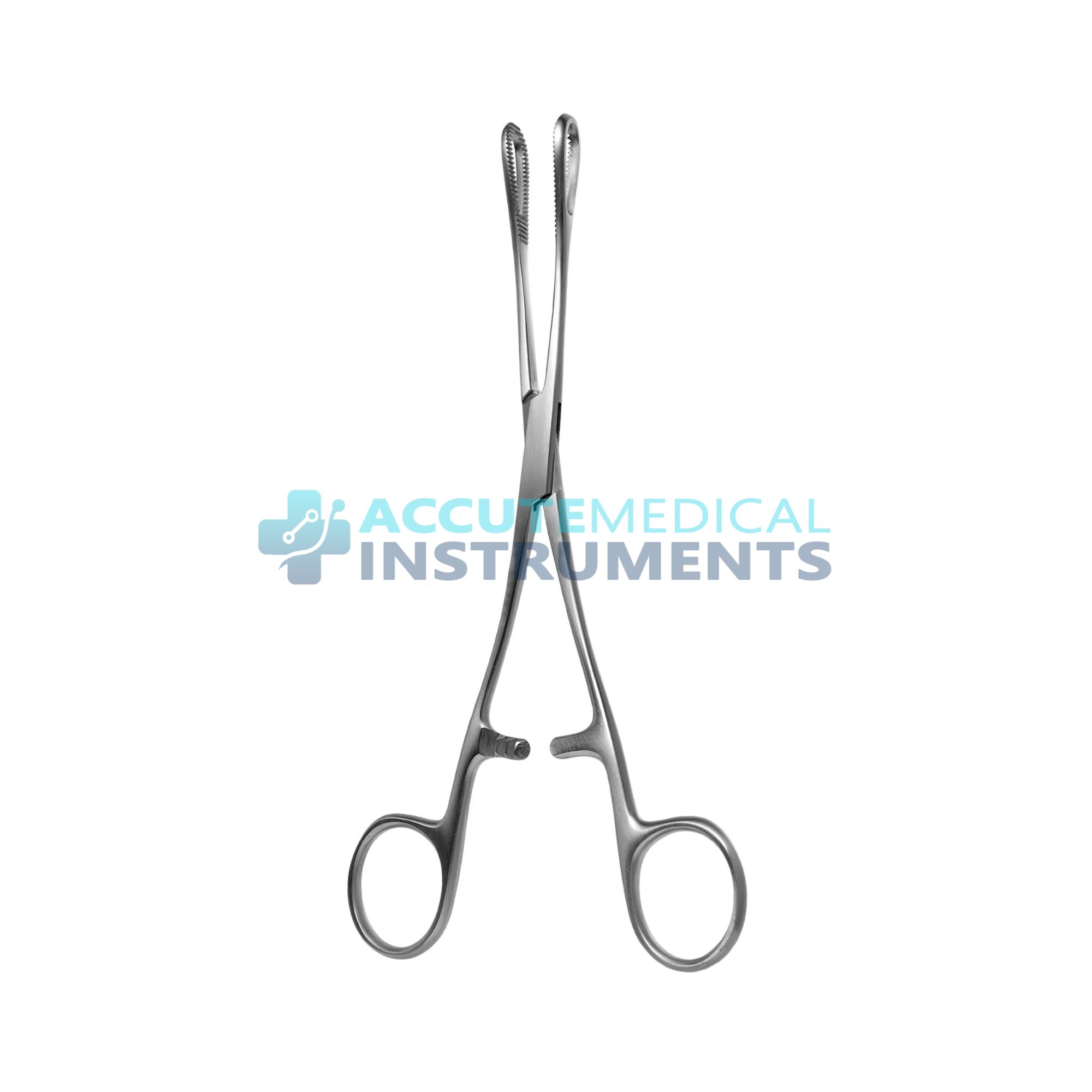 Rampley Sponge Forceps – 10″, Straight, Serrated