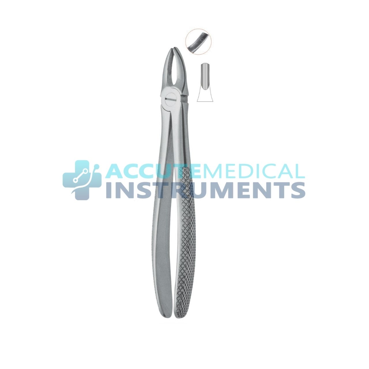 Extraction Forceps | Premium Dental Surgical Instrument