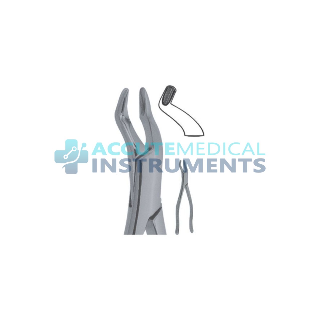 Upper Third Molars Extraction Forceps