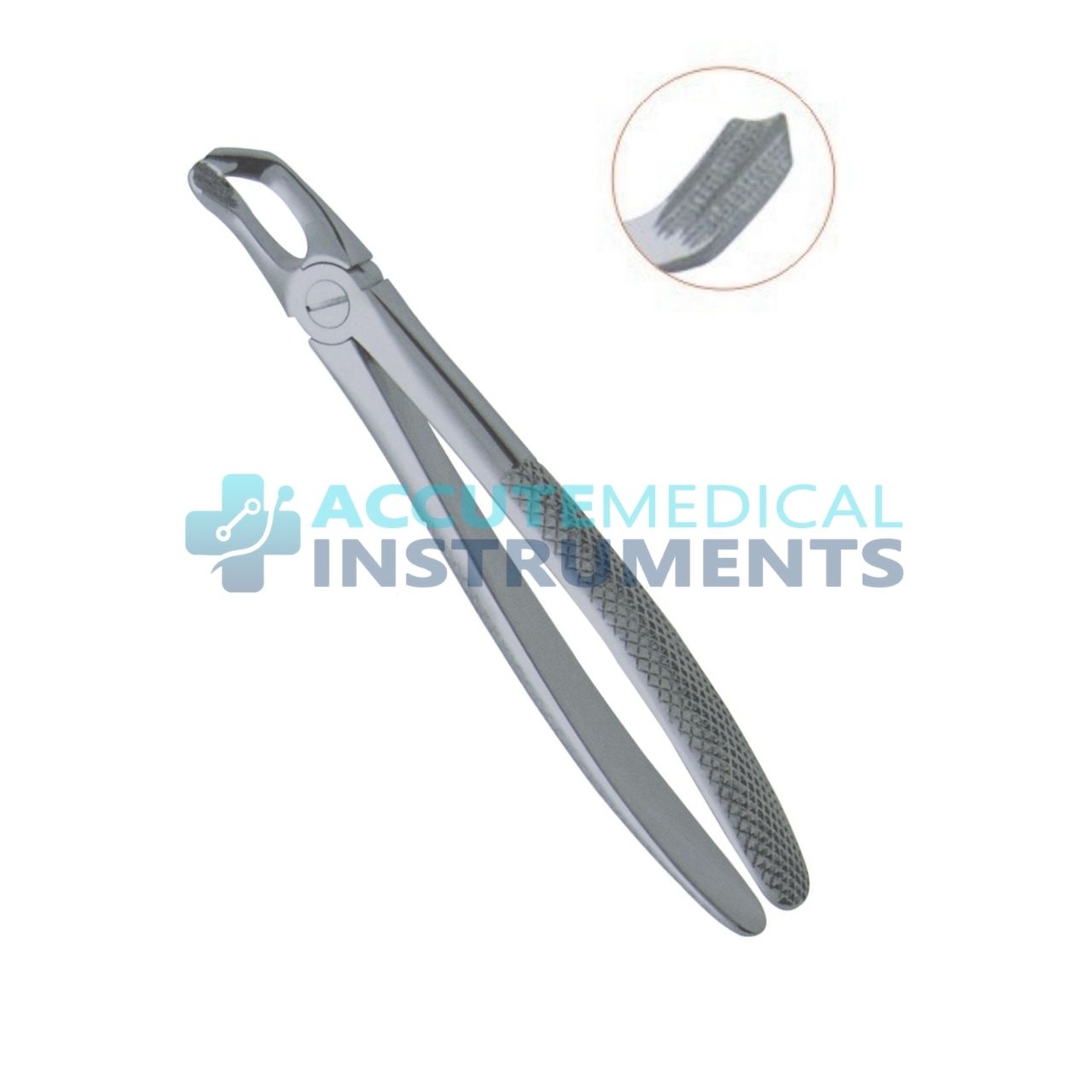 Lower Third Molars Extraction Forceps 79 | Dental Instrument