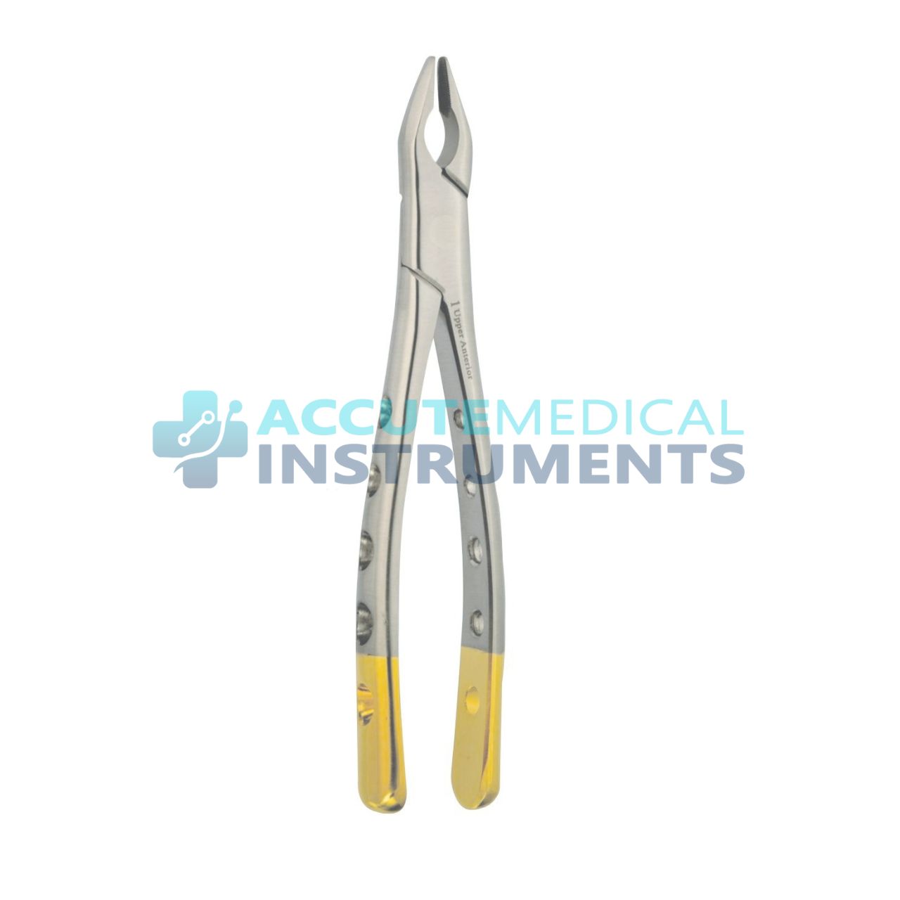 Upper Anterior Extraction Forceps