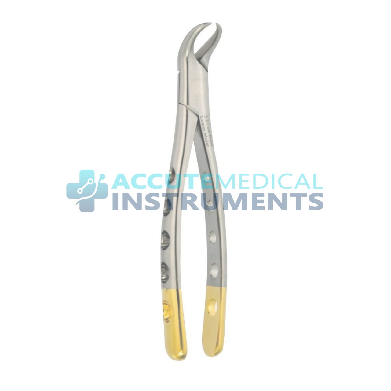 Lower Molar Cow Horn Extraction Forceps