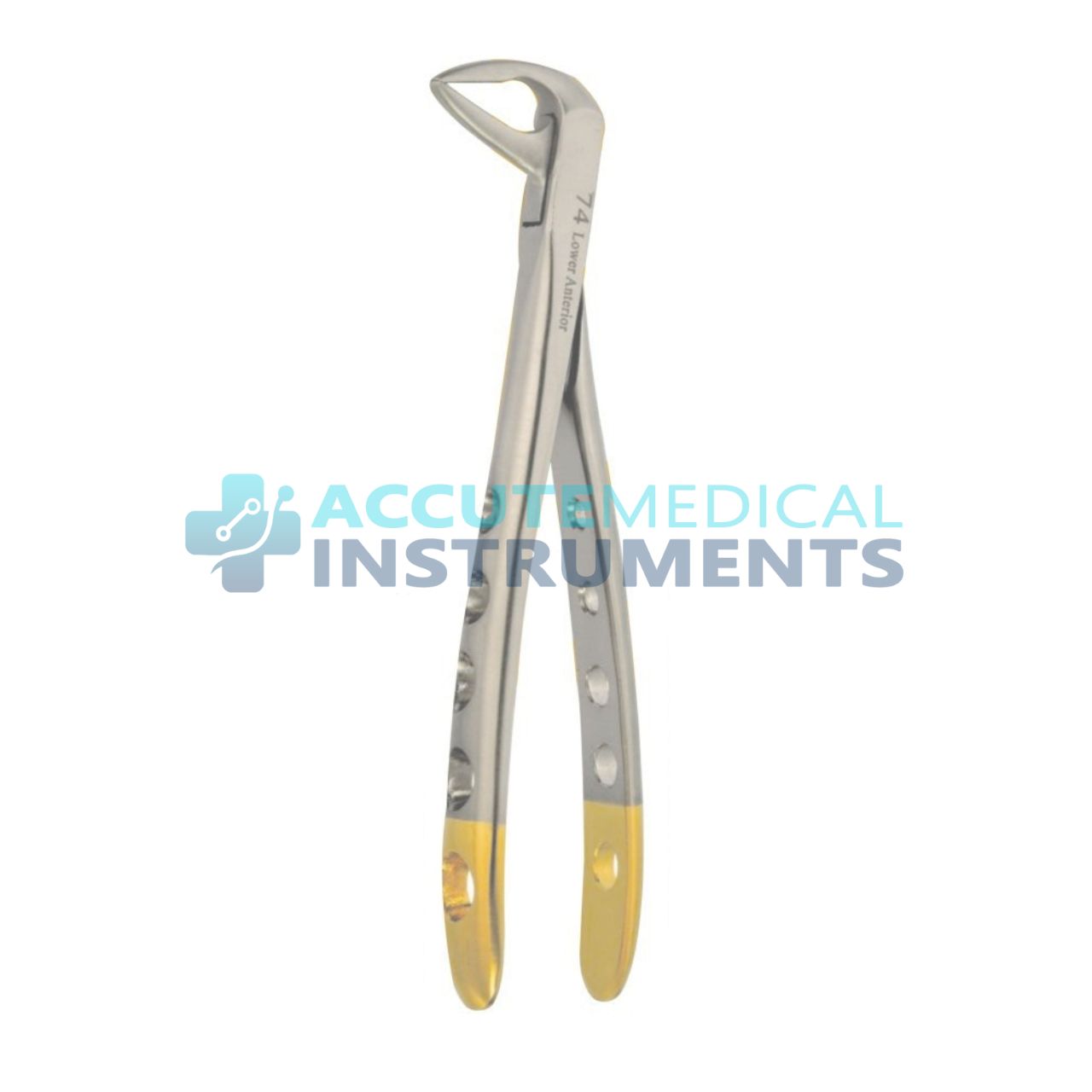 Lower Anterior Extraction Forceps