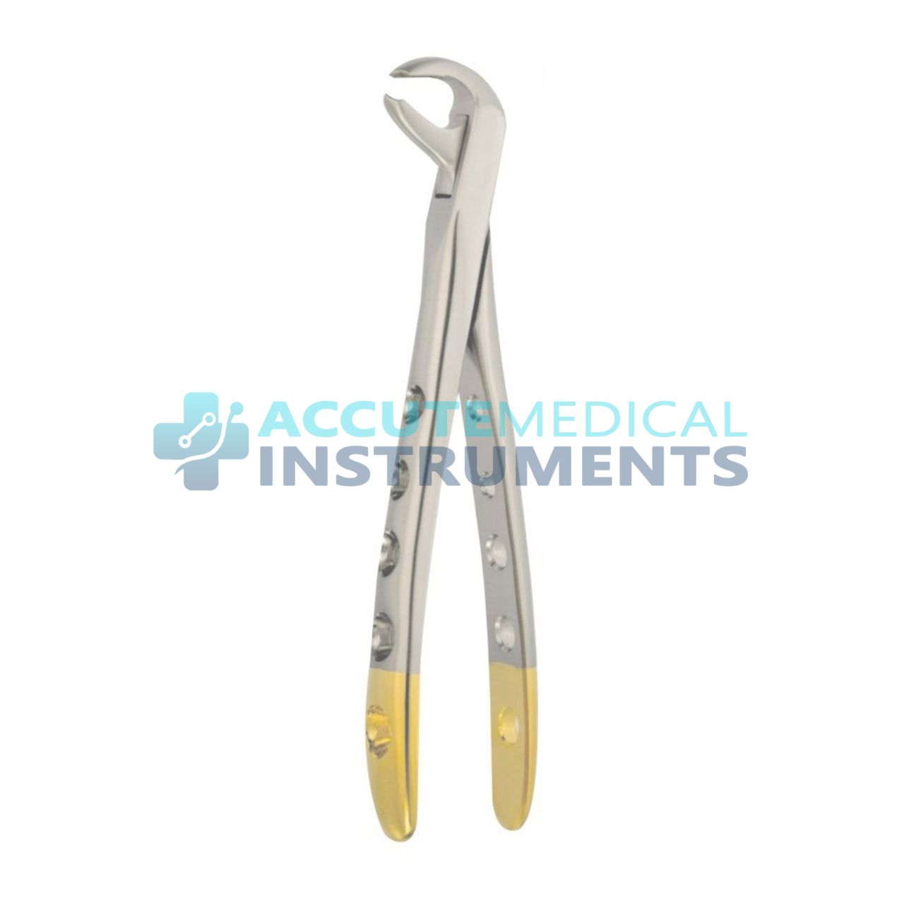 Lower Incisors Extraction Forceps