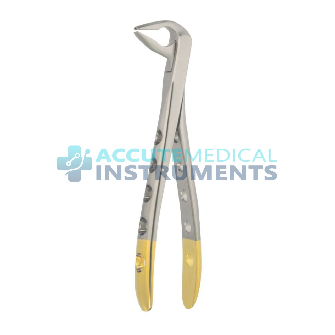 Extra Narrow Lower Anterior Apical Retention Forceps