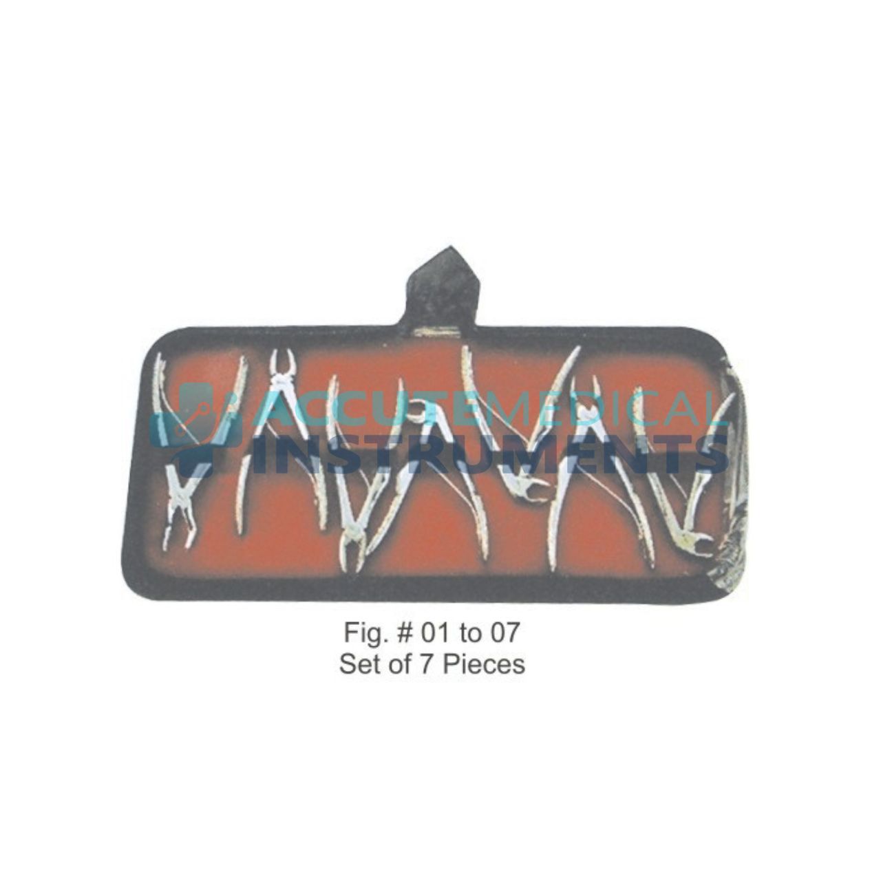 English Pattern Klein Pedodontic Upper Premolars Extraction Forceps