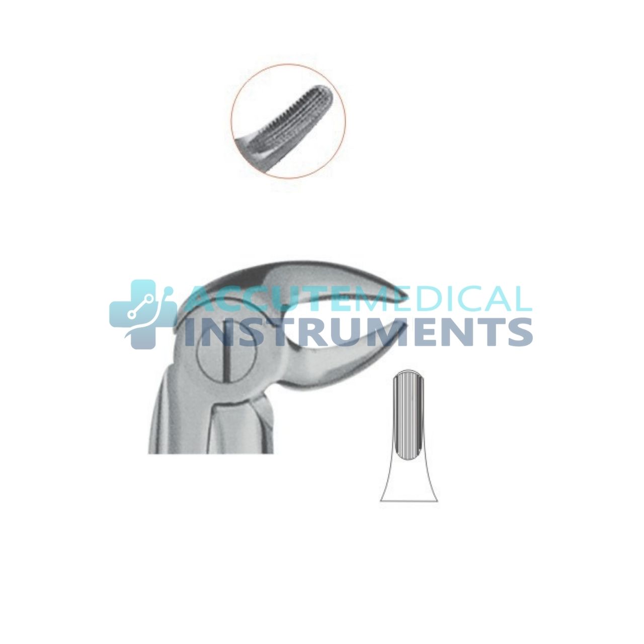 Extraction Forceps 13 | Premium Dental Surgical Instrument