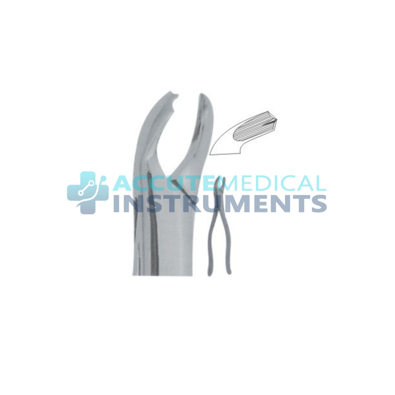 Lower Molar Extraction Forceps