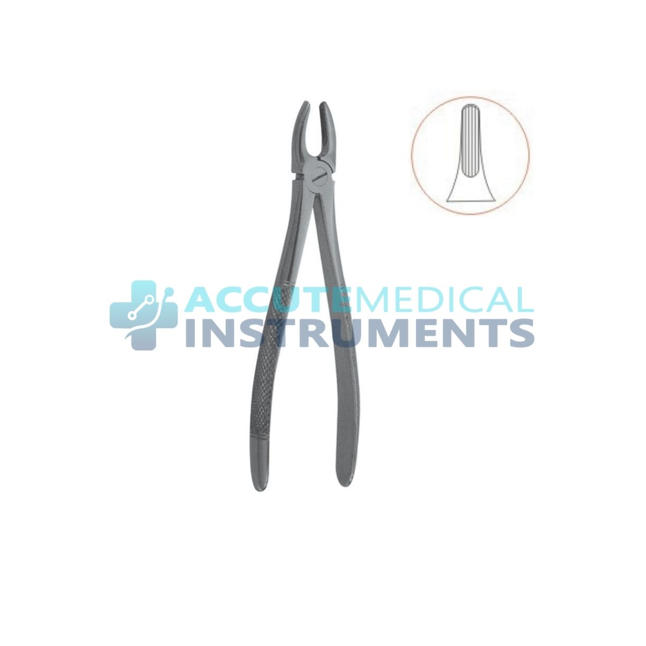 English Pattern Extraction Forceps 1 | Dental Surgical Instrument