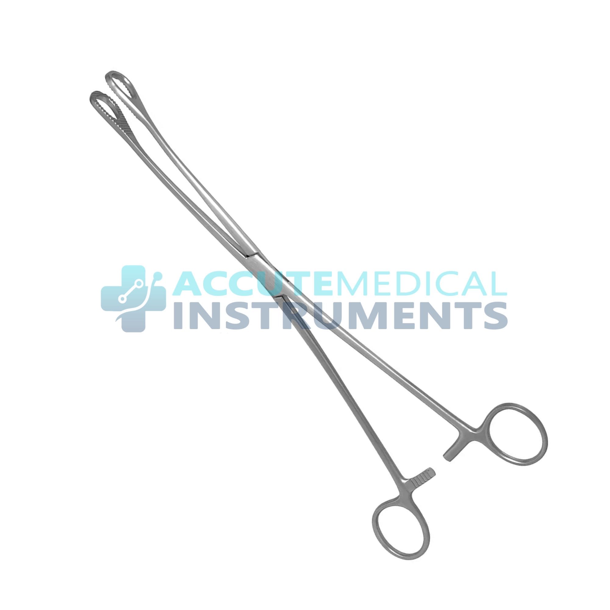 Sponge Forceps Ring Handle Surgical Sponge Holding Instrument Stainless Steel